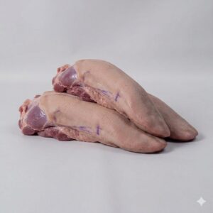 Lengua